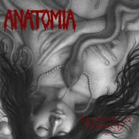 Decaying In Obscurity Anatomia