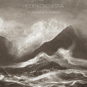 To Dream is To Forget Hidden Orchestra