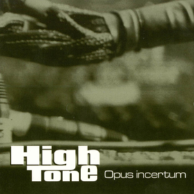 Opus Incertum High Tone