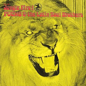Jungle Fire! Pucho & The Latin Soul Brothers