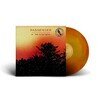 All the Little Lights (Anniversary Edition)