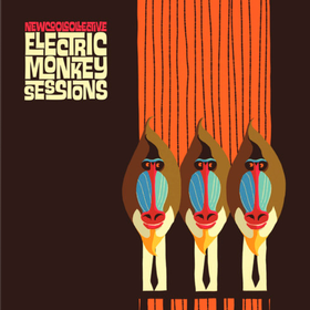 Electric Monkey Sessions New Cool Collective