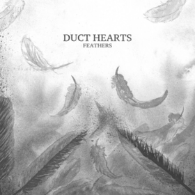 Feathers Duct Hearts