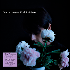 Black Rainbows Brett Anderson