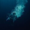 Through Water (Signed)