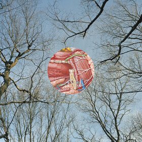 Glean (Clear With Red Wisps) They Might Be Giants