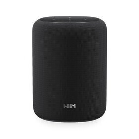 Sound Lite Black WiiM