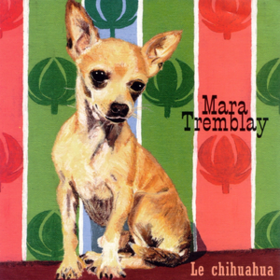 Le Chihuahua Mara Tremblay
