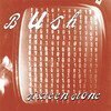 Sixteen Stone (30th Anniversary Edition)