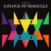 The Best of a Flock of Seagulls