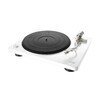 DP-400 White