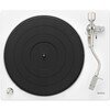 DP-400 White