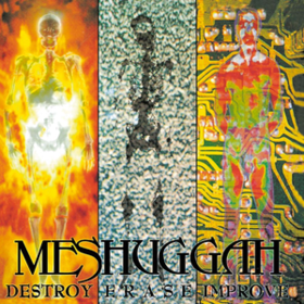 Destroy Erase Improve Meshuggah