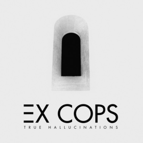 True Hallucinations Ex Cops