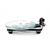 Planar 8 Nd7 MM Matt White