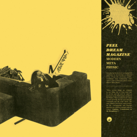 Modern Meta Physic Peel Dream Magazine