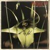 Dreams Less Sweet - SIGNED SIGNED by Genesis P-Orridge