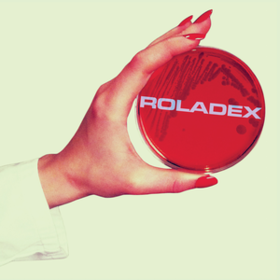 Anthems For The Micro-age Roladex