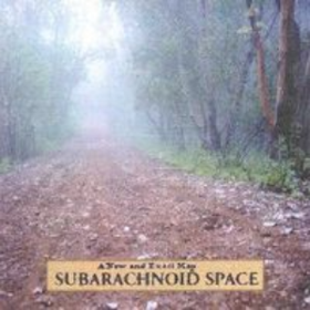 A New And Exact Map Subarachnoid Space