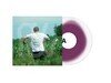Am (Transparent)