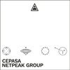 Netpeak Group