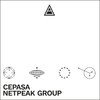 Netpeak Group