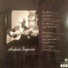 Master Of The Classical Guitar  Plays Spanish Composers