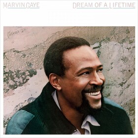 Dream Of A Lifetime Marvin Gaye