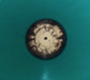 Seven Thunders Roar (Limited Green)