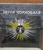 Звуки Чорнобиля Sounds of Chernobl