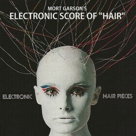 Electronic Hair Pieces Mort Garson