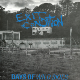 Days Of Wild Skies Exit Condition