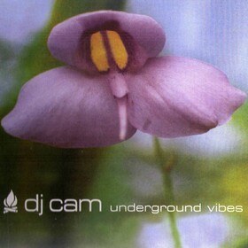 Underground Vibes Dj Cam