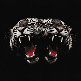 Dead Company Royal Blood