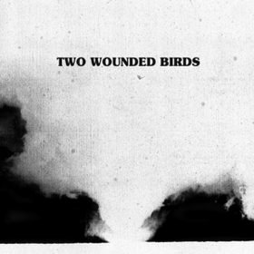 Two Wounded Birds Two Wounded Birds