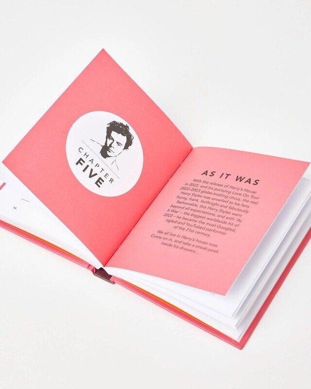 The Little Guide to Harry Styles