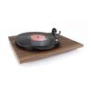 Planar 1 Walnut
