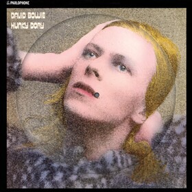 Hunky Dory (Picture Disc) David Bowie