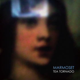 Tea Tornado Marmoset
