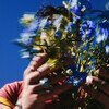 Music For People Who Believe In Love