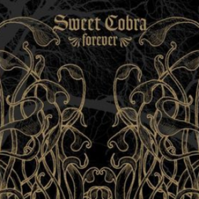 Forever Sweet Cobra