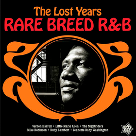 Rare Breed R&B: The Lost Years Various Artists