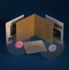 Veneer (20th Anniversary Deluxe)
