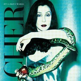 It's a Man's World Cher