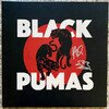 Black Pumas Cream Signed Vinyl
