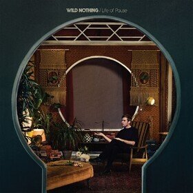Life Of Pause Wild Nothing