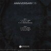 Steyoyoke Anniversary Vol. 11 2x12
