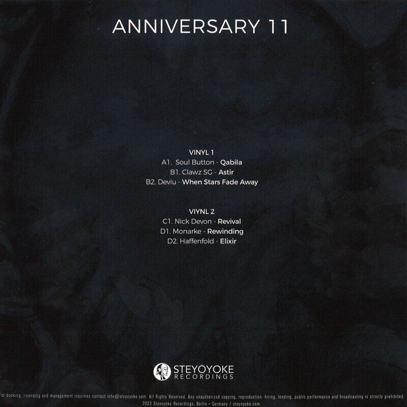Steyoyoke Anniversary Vol. 11 2x12