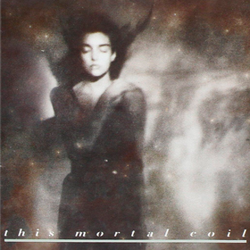 It'll End In Tears (Deluxe) This Mortal Coil