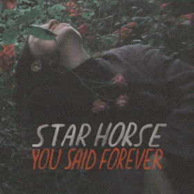 You Said Forever Star Horse